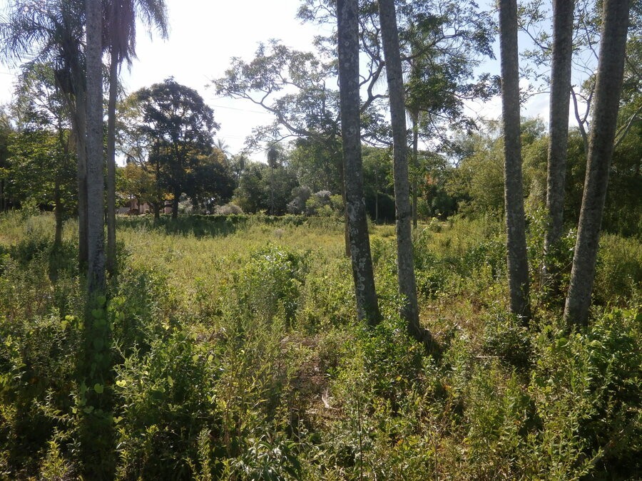 slide-13