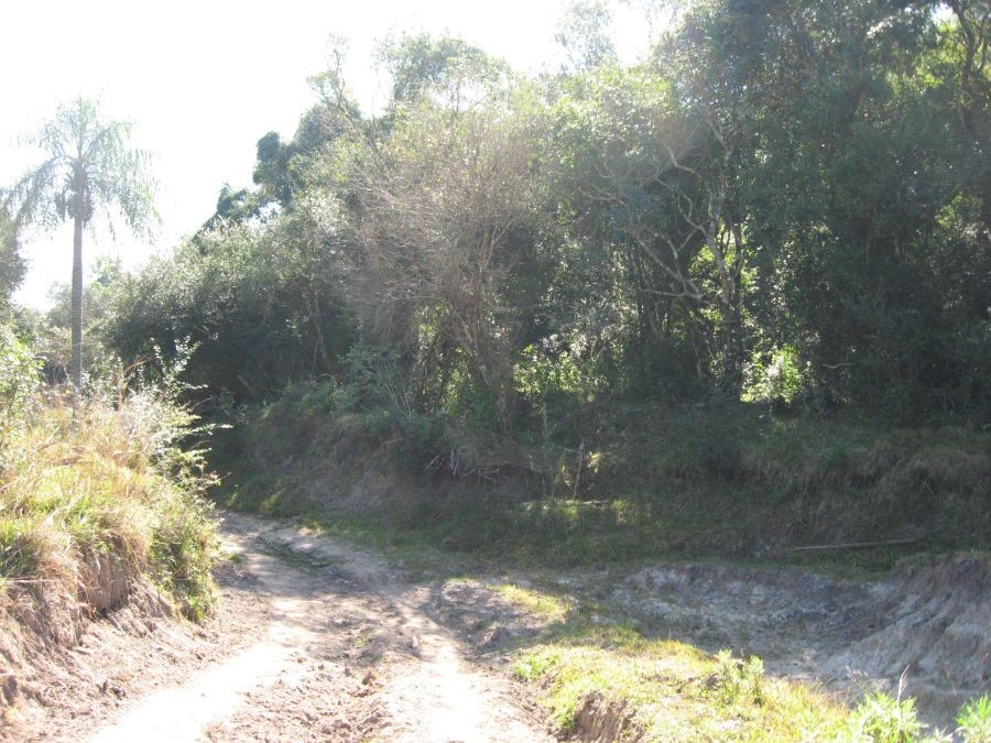 slide-4
