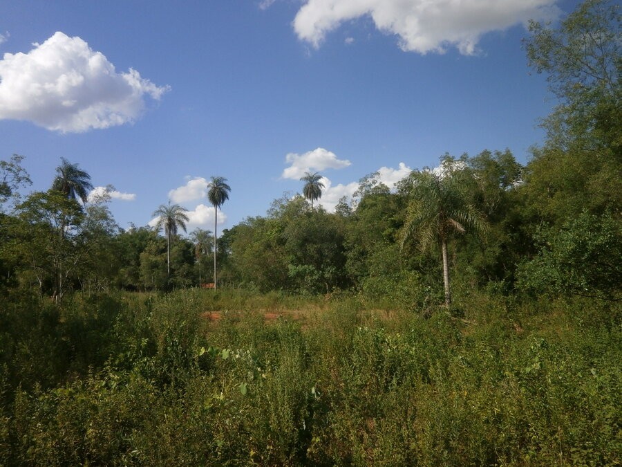slide-7