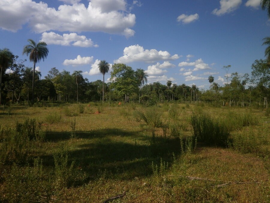 slide-2